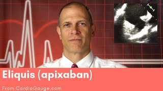 Eliquis apixaban Basics about this medicine its use effectiveness and side effects [upl. by Winterbottom]