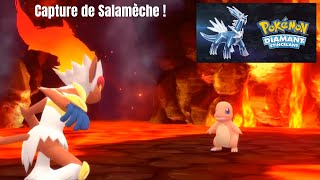 Pokémon Diamant Etincelant  On capture 🔥 Salamèche 🔥  Nintendo Switch [upl. by Shargel]