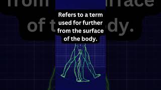 Anatomical Terminology [upl. by Yennor]