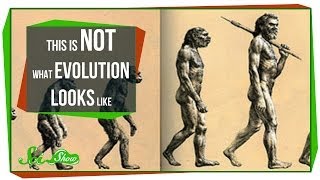 This is NOT What Evolution Looks Like [upl. by Saideman]