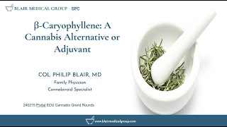 βcaryophyllene Cannabis Alternative or Adjuvant [upl. by Izawa903]