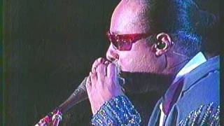 Ist She LovelyStevie Wonder Live in Japan 1990 [upl. by Icyaj]