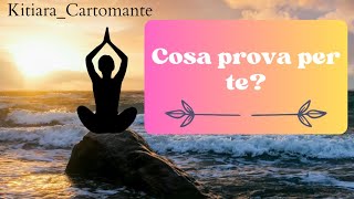 Cosa prova per te Tarocchi interattivi gratis amore [upl. by Tonia167]