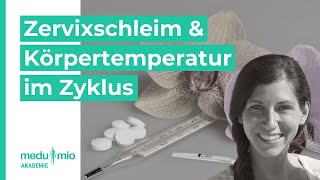 Das verraten Dir Zervixschleim amp Körpertemperatur im Zyklus 🌡️ Anne Schmuck [upl. by Herzig]