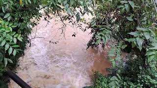 Roaring River head in Trelawny after the passage of tropical storm Rafael in Jamaica 🇯🇲 [upl. by Helenka]