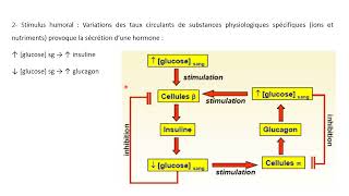 Stratégie dexploration biochimique des endocrinopathies [upl. by Hillman]