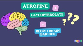 Atropine vs Glycopyrrolate Battle of the Brain Barriers [upl. by Radley]