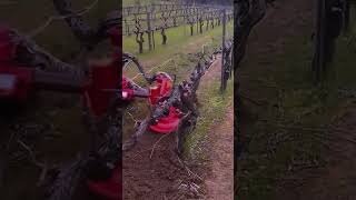 Smart innovation of modern farming tools to clean grass farming shorts [upl. by Damek]