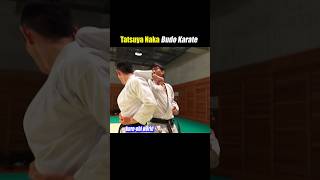 Spinning elbow strike【Budo Karate】 [upl. by Anale660]