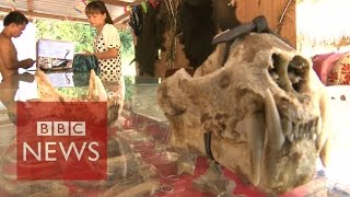 Undercover in Myanmars Sin city where anything goes  BBC News [upl. by Bristow]