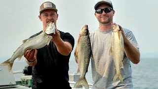 Catching lake whitefish on Flathead Lake [upl. by Garges981]