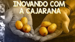 Ufersa na TV – Inovando com a Cajarana [upl. by Rogerg]