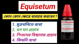 Uses of Equisetum Homeopathy Medicine । কিডনির সমস্যায় হোমিওপ্যাথি । [upl. by Ahsia640]