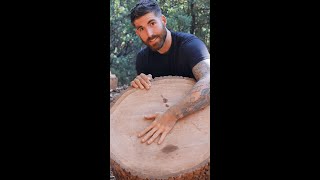 Lets look inside the wet piece of wood 👀 wood firewood woodsplitting [upl. by Culliton361]