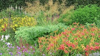 SUMMER FLOWER COLOUR IN A HERBACEOUS BORDER [upl. by Cristian734]