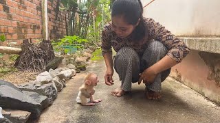 Tiniest World A Tong Sit Scream Loud Ask Mom To Pick Him Up With [upl. by Barn]