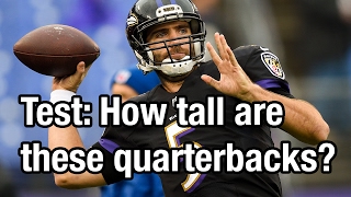 Test How tall are these NFL quarterbacks [upl. by Ahders808]