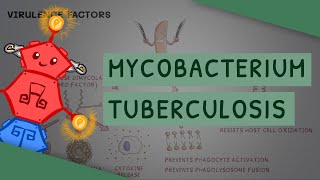 Mycobacterium tuberculosis  TB [upl. by Oehsen]