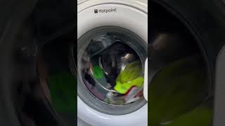 HOTPOINT WASHING MACHINE DOOR ALMOST FLIES OFF [upl. by Steve]