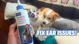 Virbac EpiOtic Advanced Ear Cleanser for Dogs amp Cats  Treating Yeast Bacteria and Wax for Dogs [upl. by Nnylidnarb]