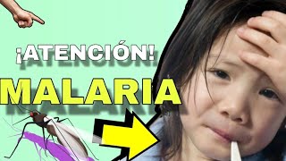 MALARIA🦟 Fisiopatología Síntomas Diagnóstico y Tratamiento EXPLICADO MUY FACIL🤯 [upl. by Anaet]