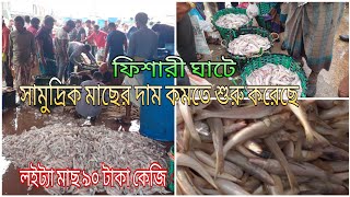 ফিশারী ঘাটে সামুদ্রিক মাছের দাম কমতে শুরু করেছে।লইট্যা মাছ ৯০ টাকা কেজি।Fishery Ghat Loitta Fish [upl. by Leela564]