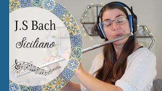 Siciliano from Flute Sonata in Eb BWV 1031 by J S Bach [upl. by Derte]