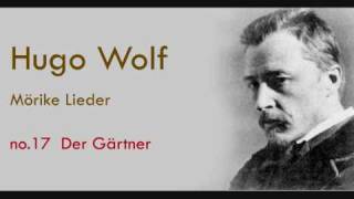 Hugo Wolf Mörike Lieder Der Gärtner [upl. by Felt544]