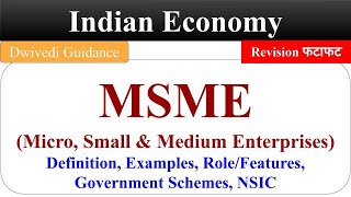 MSME msme definition msme Role msme kya hai msme schemes MSMED Act 2006 Indian economy bcom [upl. by Nnalyrehc]