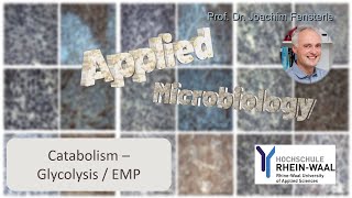 Catabolism  Glycolysis  EMP [upl. by Nivert]