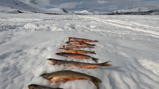 Rödingfiske och arkliv  Arctic char fishing and tent living  Raudun pilkintä [upl. by Nirroc]