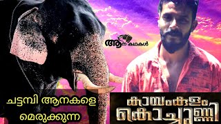 കായംകുളത്തെ കൊച്ചുണ്ണിയും ഒളരി കാളിദാസനും  Kayamkulam sarath  Olarikkara kalidasan [upl. by Lissa]