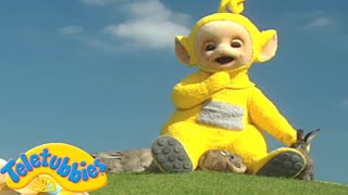 Teletubbies  LaaLaa Counts Rabbits  Easter Special  Official Teletubbies For Kids [upl. by Nnahsal]