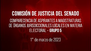 Grupo 5 Aspirantes a magistraturas de tribunales electorales locales [upl. by Mcarthur]