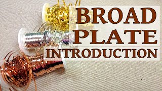 Broad Plate goldwork embroidery  a video introduction [upl. by Ottillia]