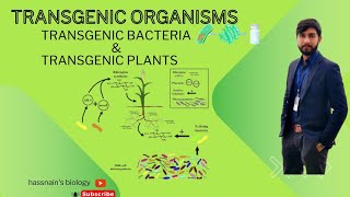 Transgenic products transgenic bacteria and transgenic plants biologistasifsaleem0910 [upl. by Phip]