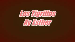 Los Tigrillos Ay Esther [upl. by Hanahs]