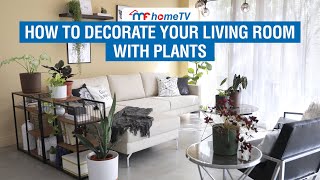 How To Decorate Your Living Room With Plants  MF Home TV [upl. by Ardua]