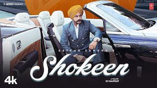 SHOKEEN Official Video  Satkar Sandhu  Latest Punjabi Songs 2023  TSeries [upl. by Niamart565]