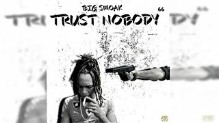 Big Smoak  Trust Nobody 66 Official Audio [upl. by Haimerej]