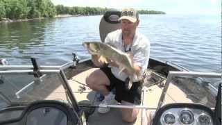 Swimbaits for Walleye [upl. by Charis]