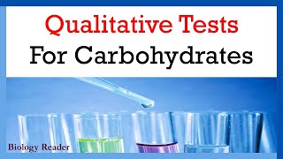 Qualitative Tests for Carbohydrates What They Are and How They Work [upl. by Nede]