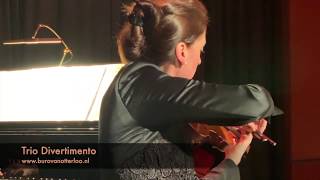 Klassiek dames trio Divertimento  concert salon orkest [upl. by Amand]