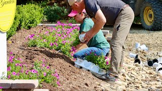 Adding The First Summer Annuals In Signature Garden [upl. by Anilad]