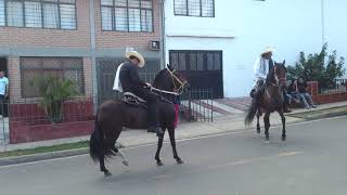 No más borrachos en las cabalgatas popayan [upl. by Leigh869]