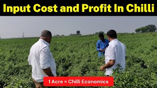 Total Input Cost and Profit In Chilli Cultivation 1 Acre  Chilli Farming  Krishi Network [upl. by Ku346]