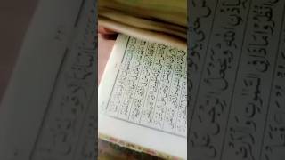 Chaman madrassa beautifulvoic love madrassas motivation madrasah music shorts greenscreen [upl. by Nylarad920]