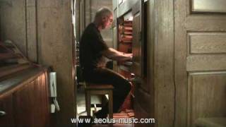 Bach Toccata d minor BWV 913 played by Ewald Kooiman [upl. by Amitie991]