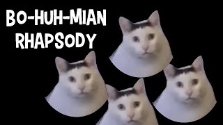 BoHuhmian Rhapsody Remastered  Now with MORE AUUUGGH memes cat music [upl. by Joost]