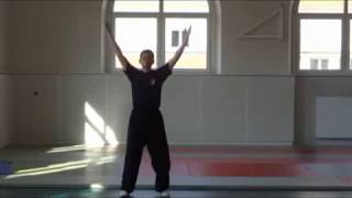 Qi Gong des 8 pièces de brocart Ba Duan Jin  八段锦 [upl. by Eissalc]